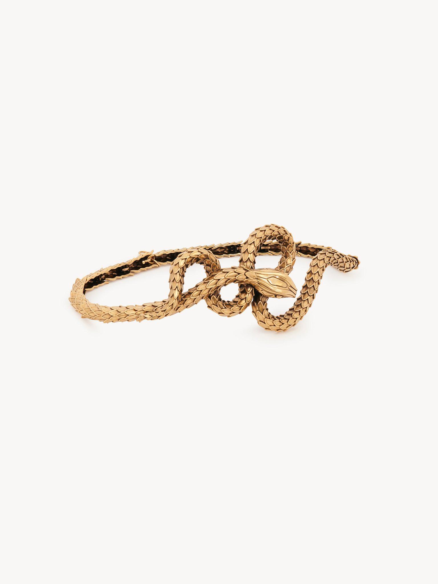 The Chloé Snake belt Product Image