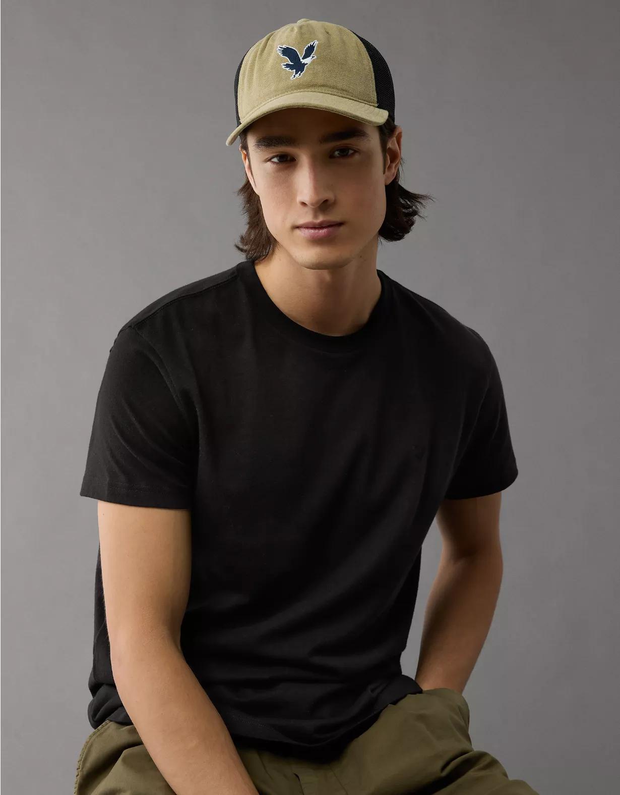 AE Lived-In Slim T-Shirt Men's Product Image