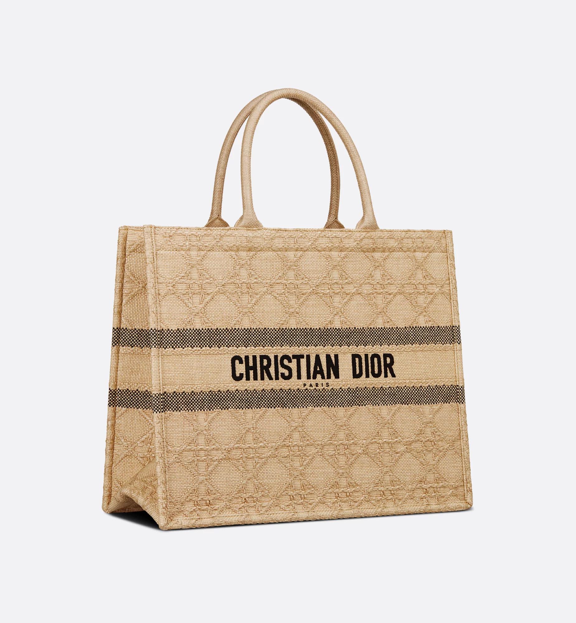 Large Dior Book Tote Product Image
