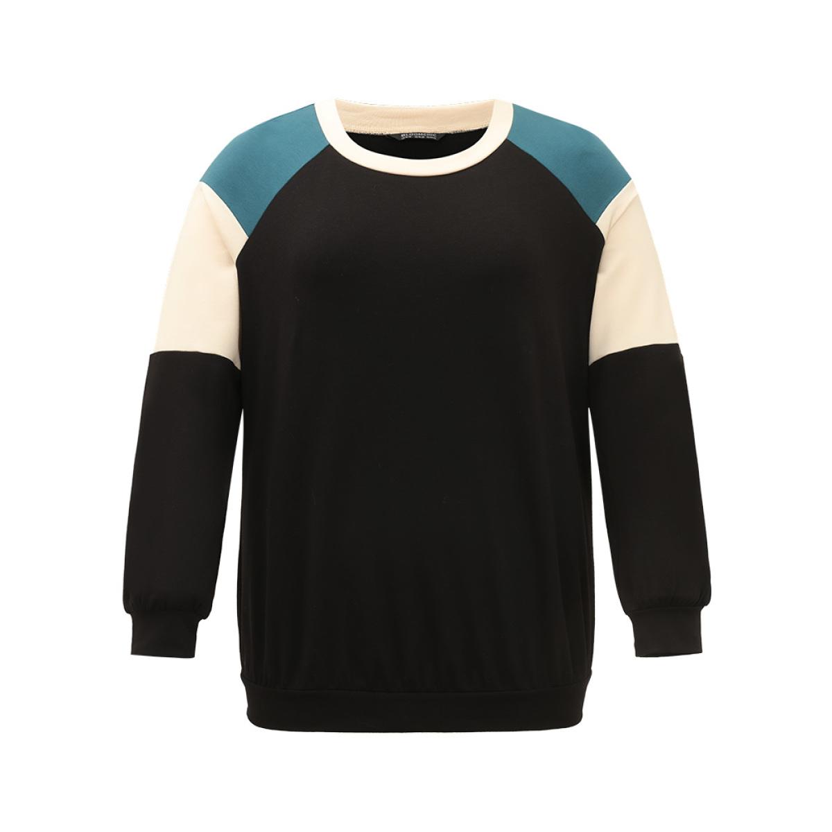 Plus Size Colorblock Contrast Raglan Sleeve Sweatshirt Women Black Casual Elastic cuffs Round Neck Dailywear Sweatshirts BloomChic 26/4X Product Image