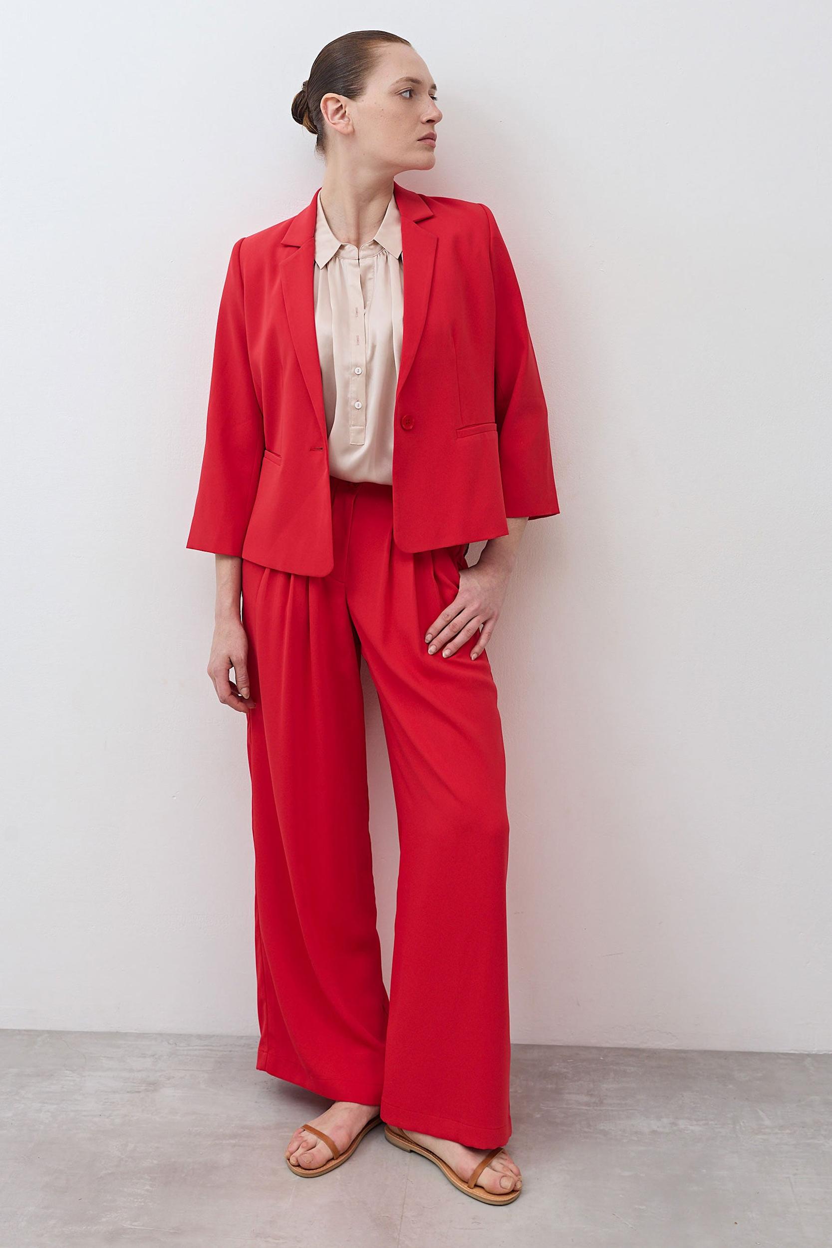 The Shrunken Blazer Product Image