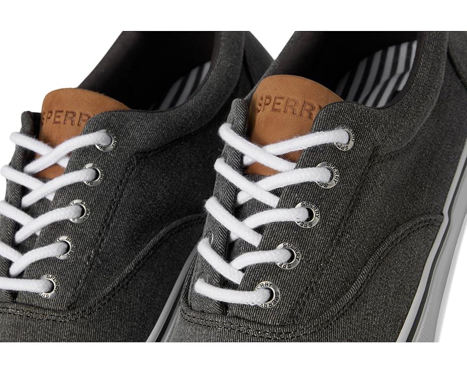 CVO Canvas Product Image