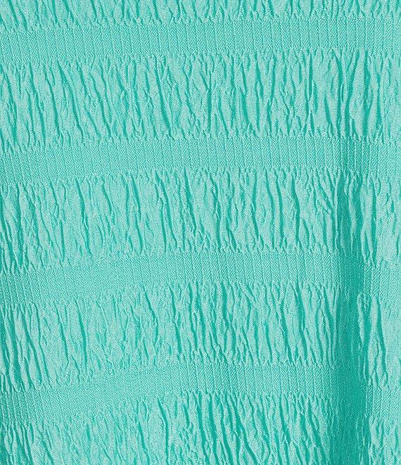 Multiples Plus Size Pucker Double Knit Jacquard Scoop Neck 3/4 Sleeve Pullover Knit Top Product Image