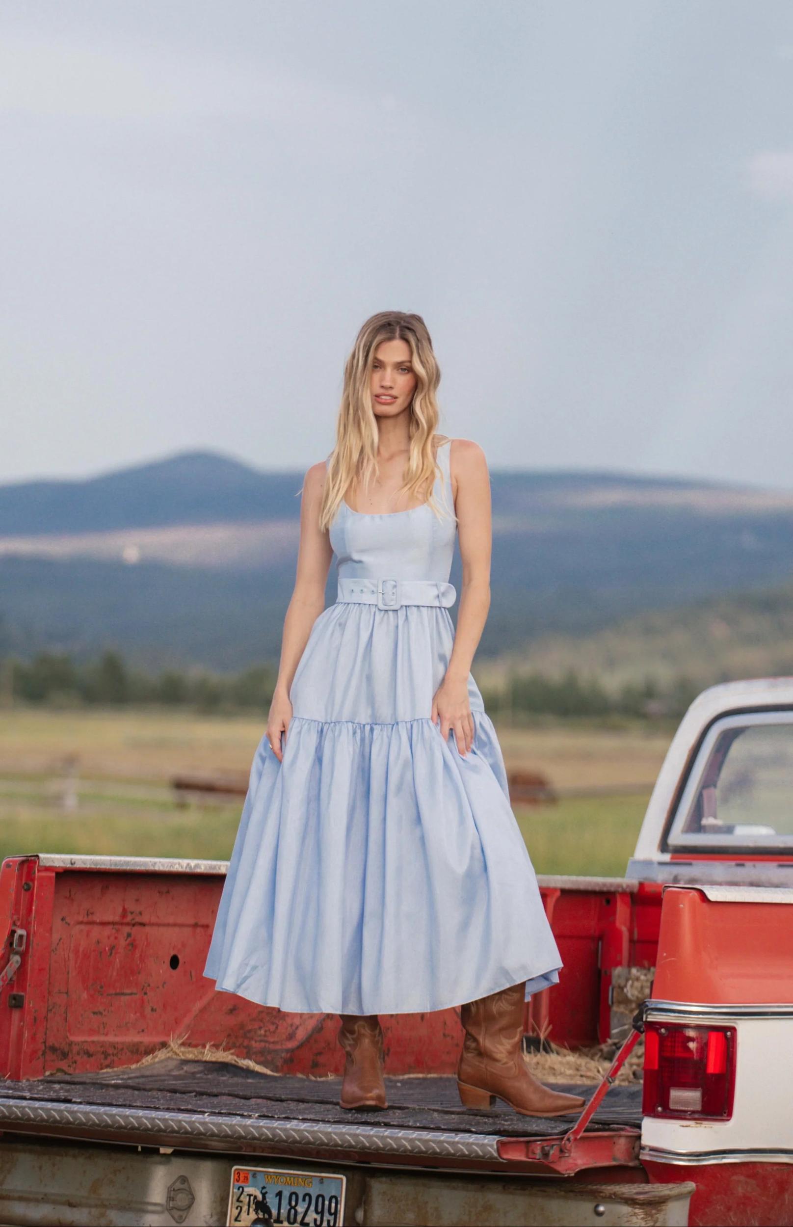 Alice Dress Product Image