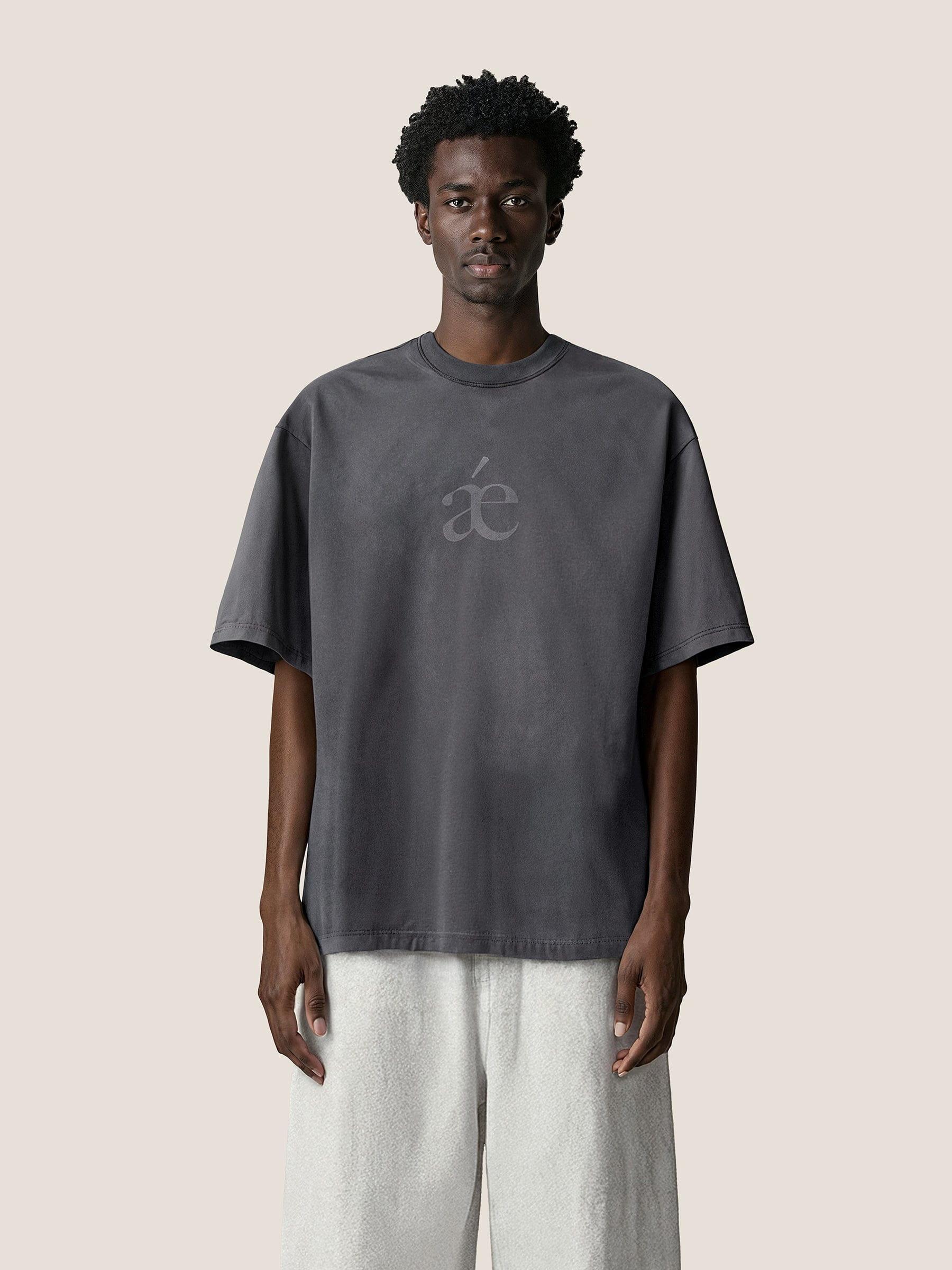 Aelfric Eden Essential aé Gradient Washed Tee Product Image