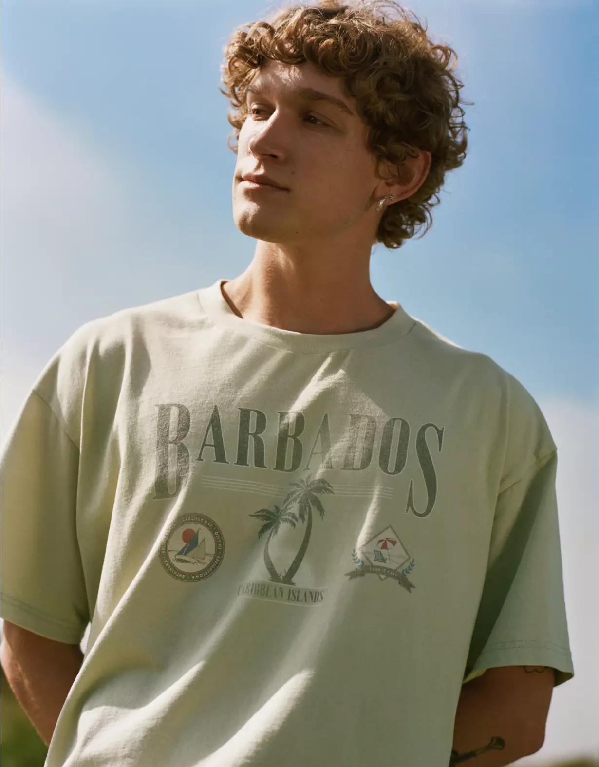 AE Boxy Destination Graphic T-Shirt Product Image