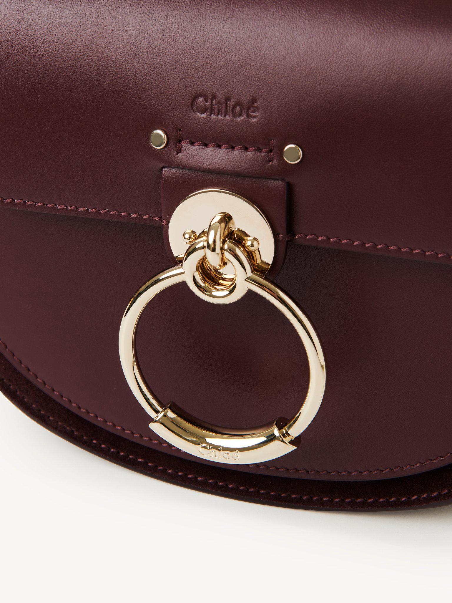 Small Tess bag in shiny & suede leather Product Image