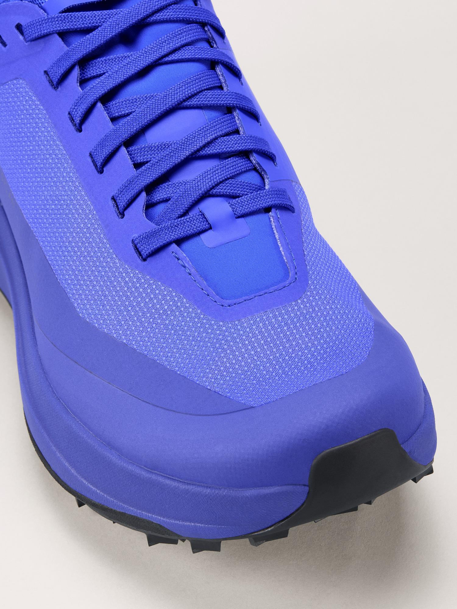 Sylan GTX Shoe Women's Product Image