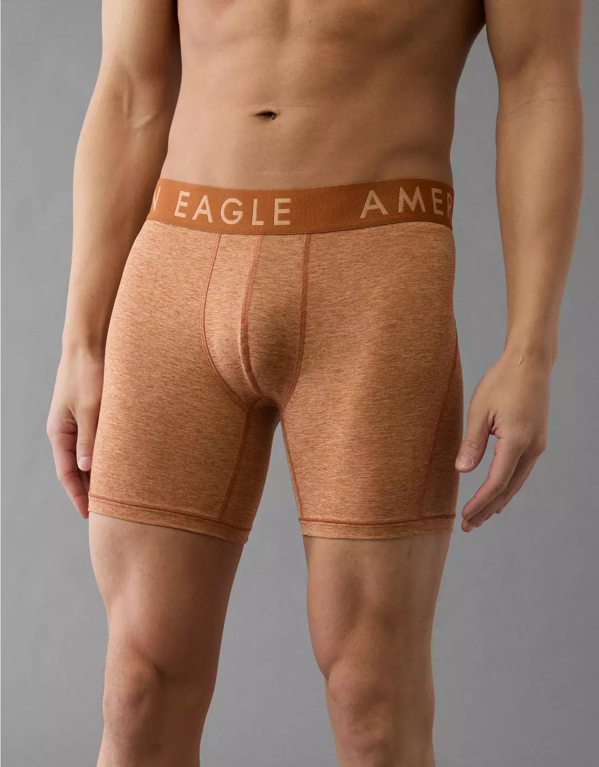 AEO Men's Space Dye 6" Flex Boxer Brief Product Image