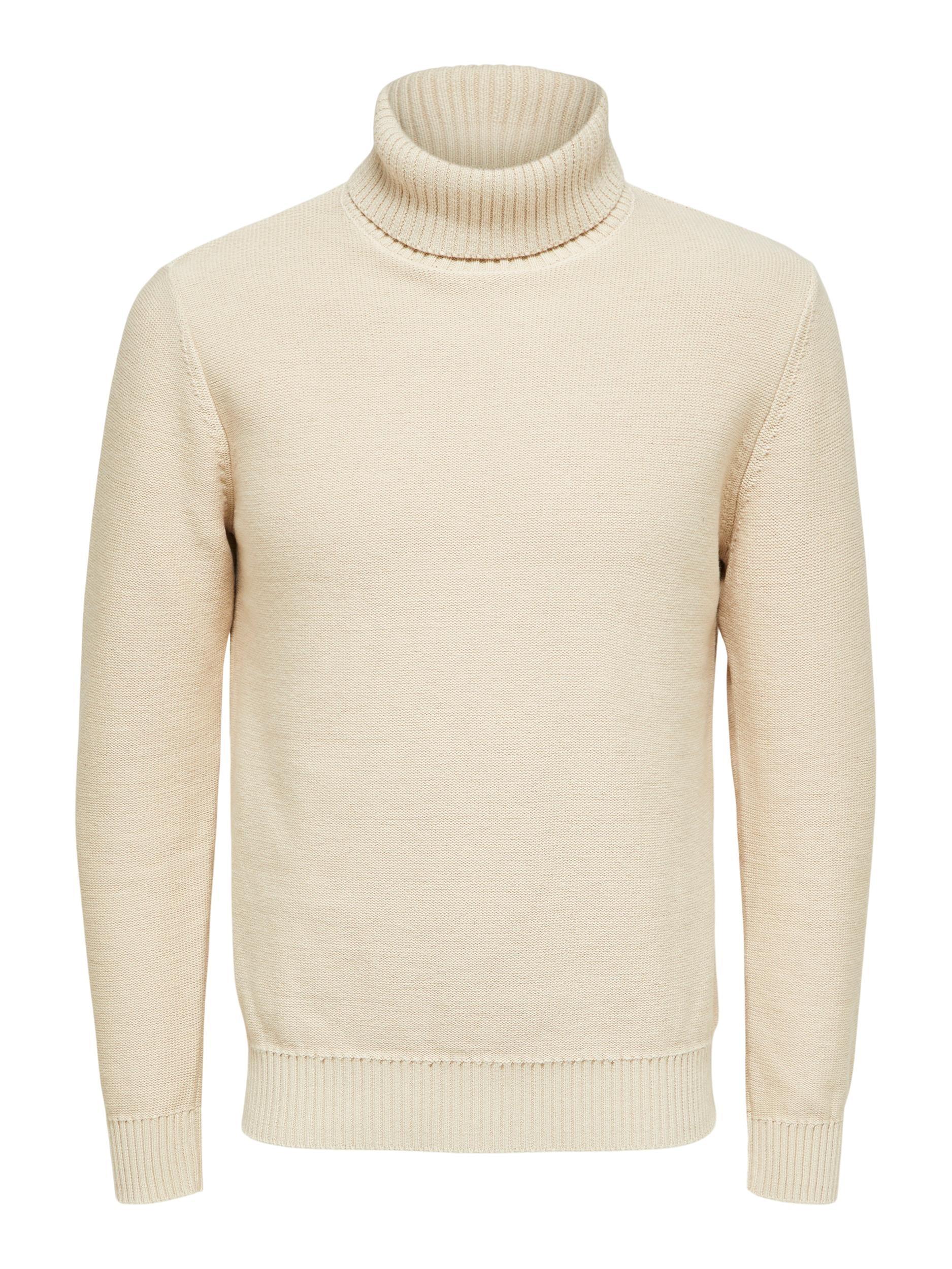 Axel Knit Roll Neck Product Image