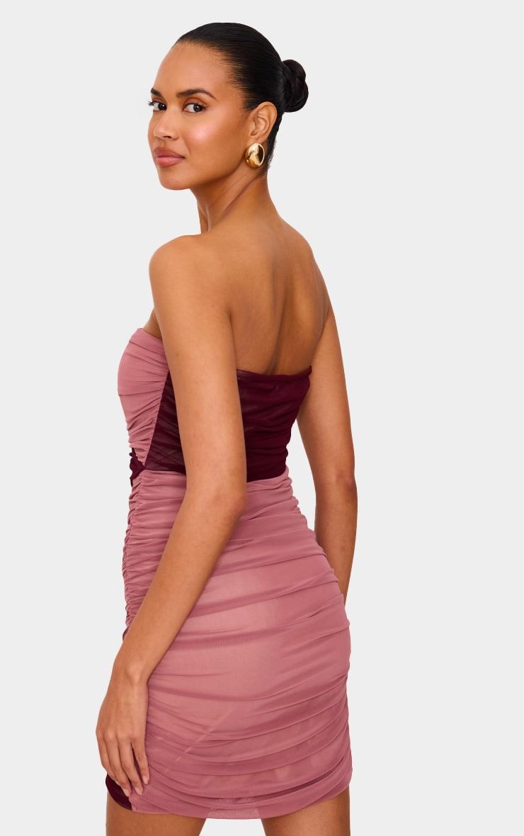 Light Pink Mesh Contrast Bandeau Mini Dress Product Image
