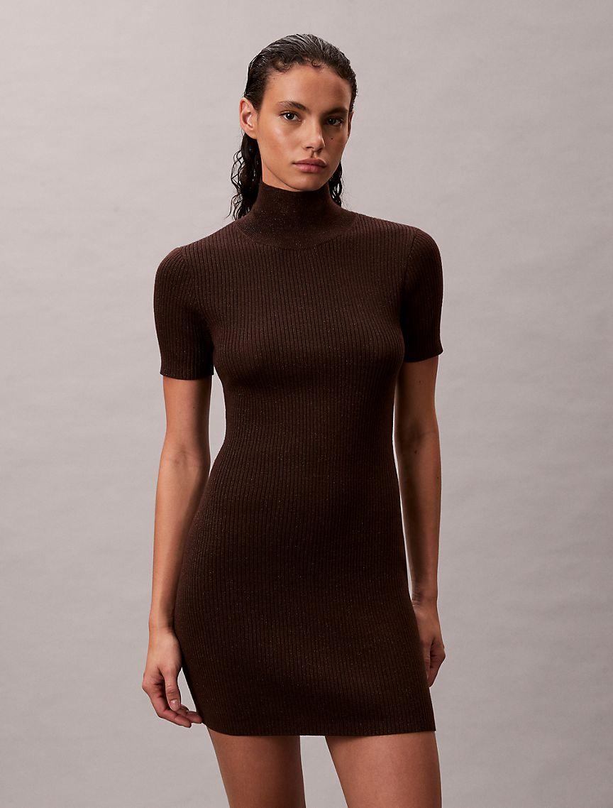Lurex Merino Wool Blend Rib Sweater Dress Product Image