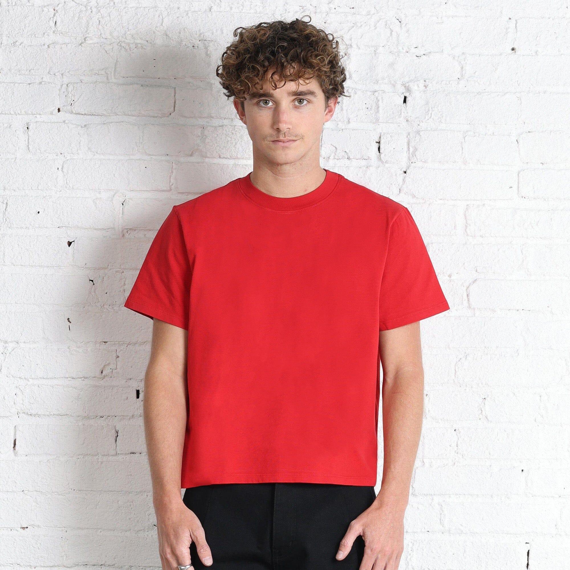 Silverlake Crop Tee II Product Image
