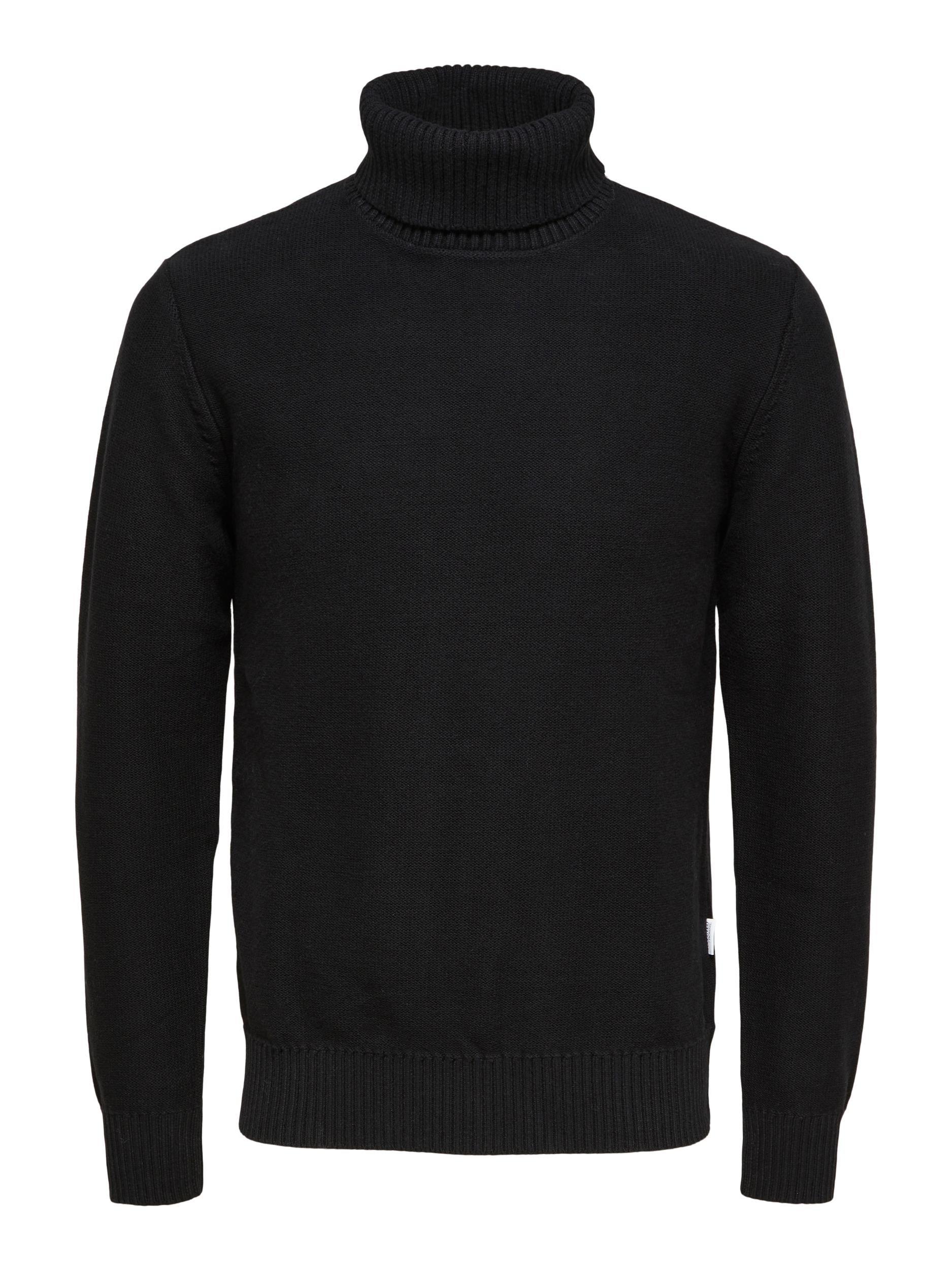 Axel Knit Roll Neck Product Image