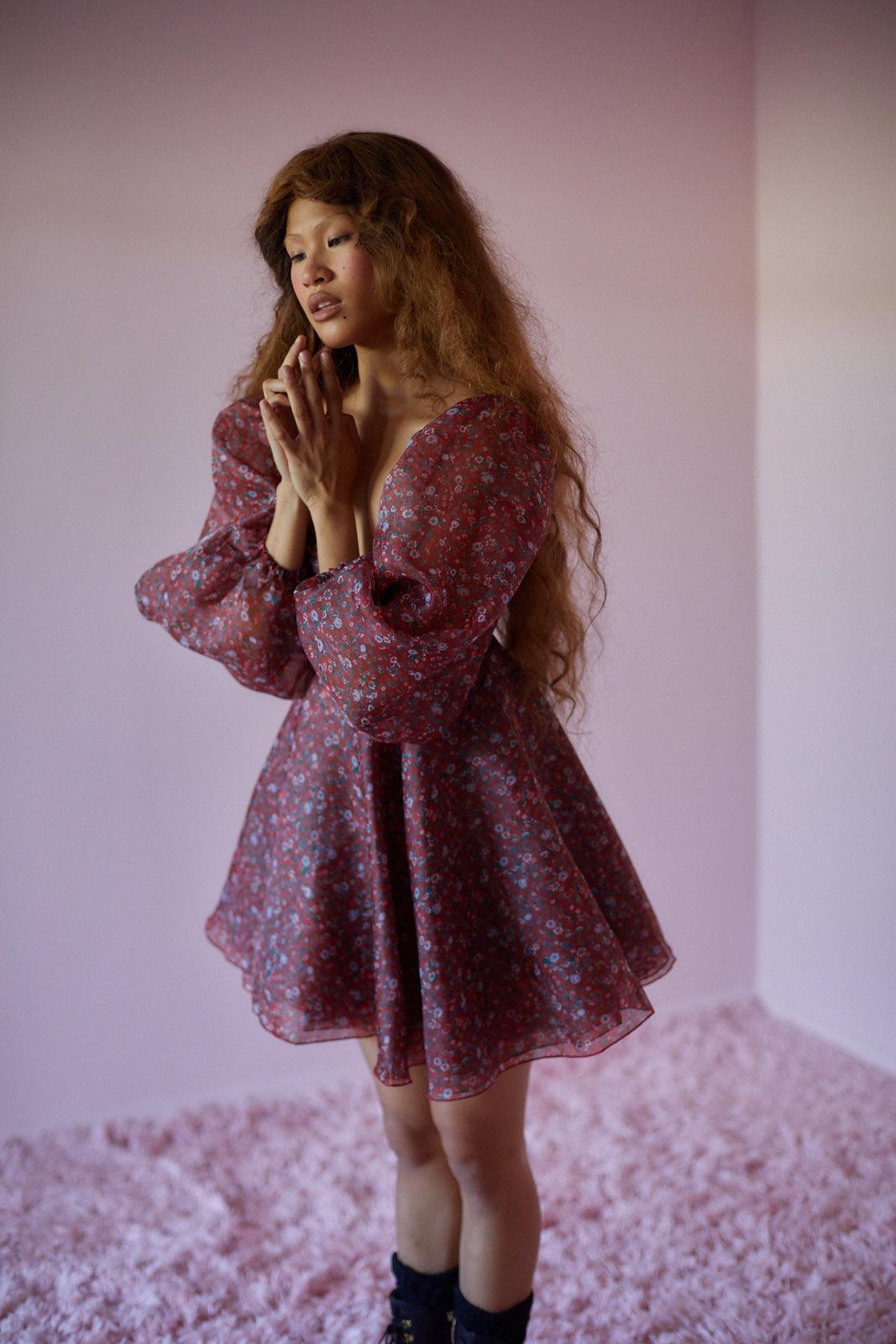 The Crimson Princess Dress Product Image