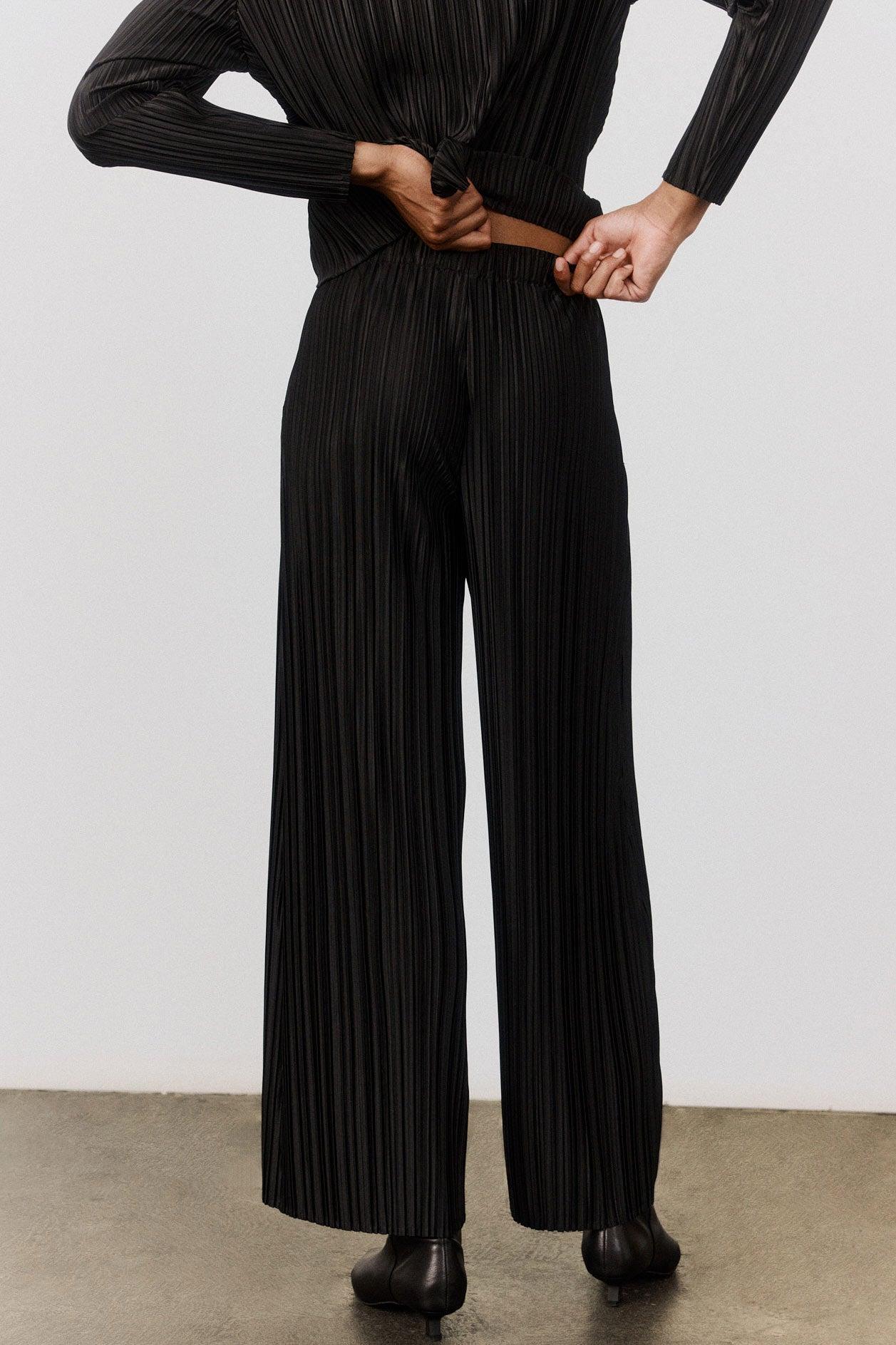 Relaxed Pleated Pants Product Image