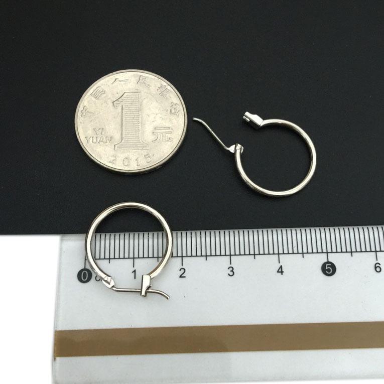 Hoop Leverback Earring Product Image