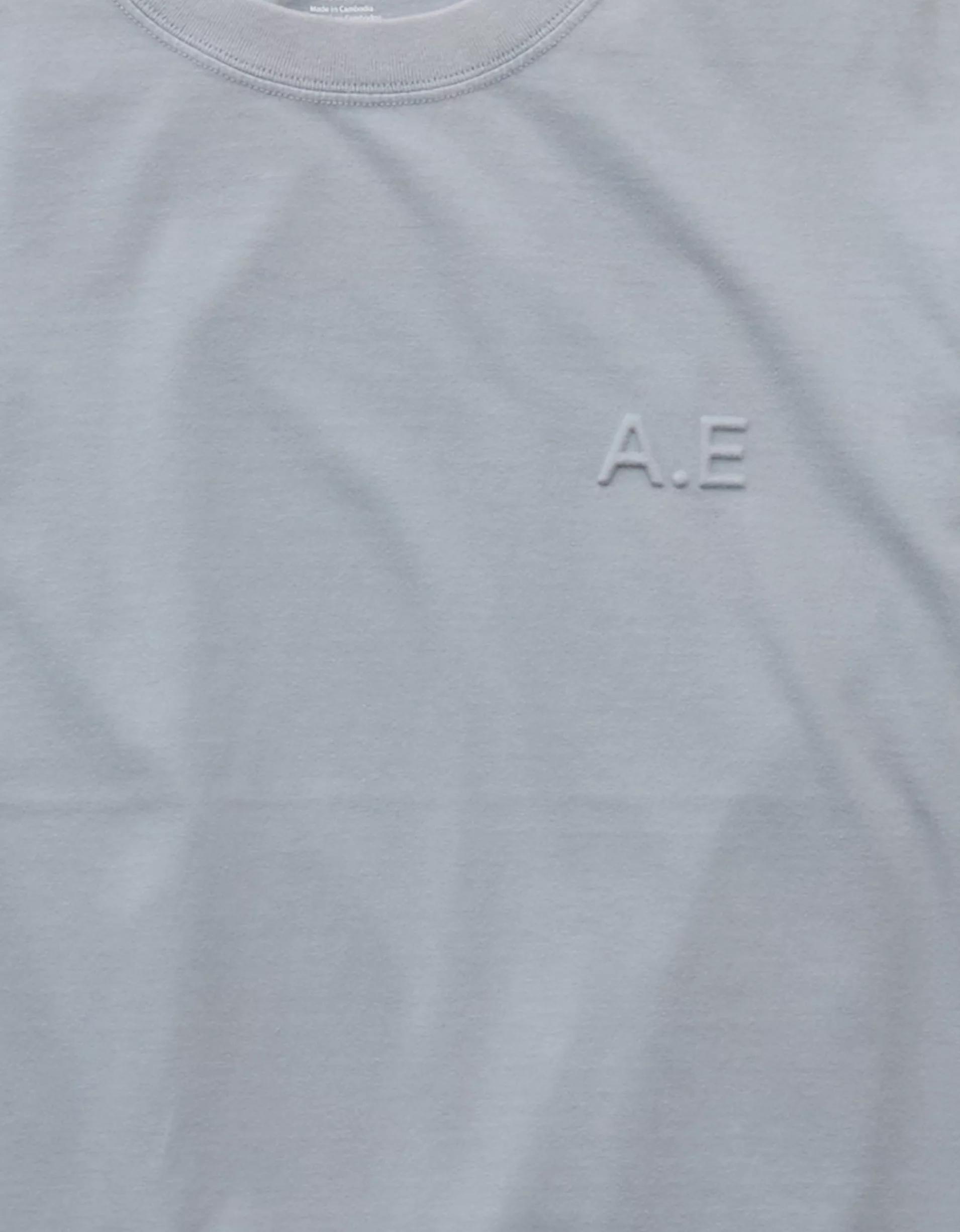 AE Boxy Elevated Logo Graphic T-Shirt Product Image
