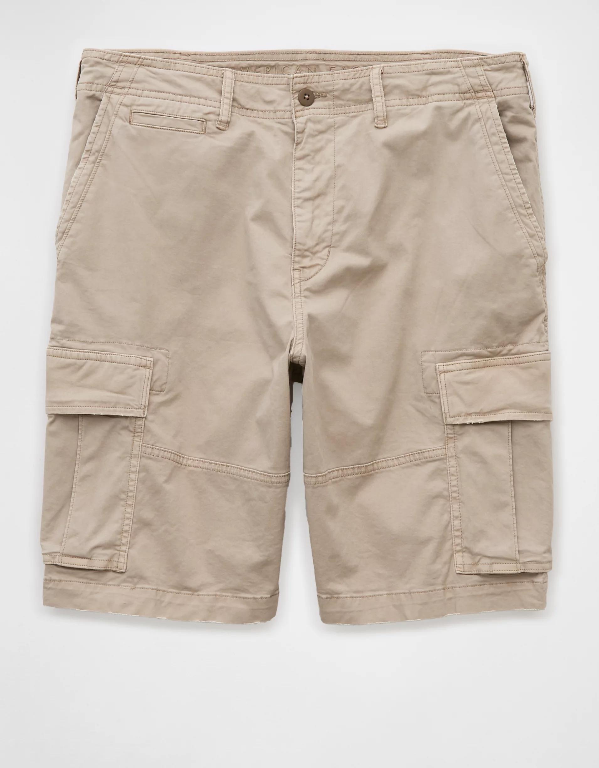 AE 10" Flex Lived-In Cargo Short Product Image