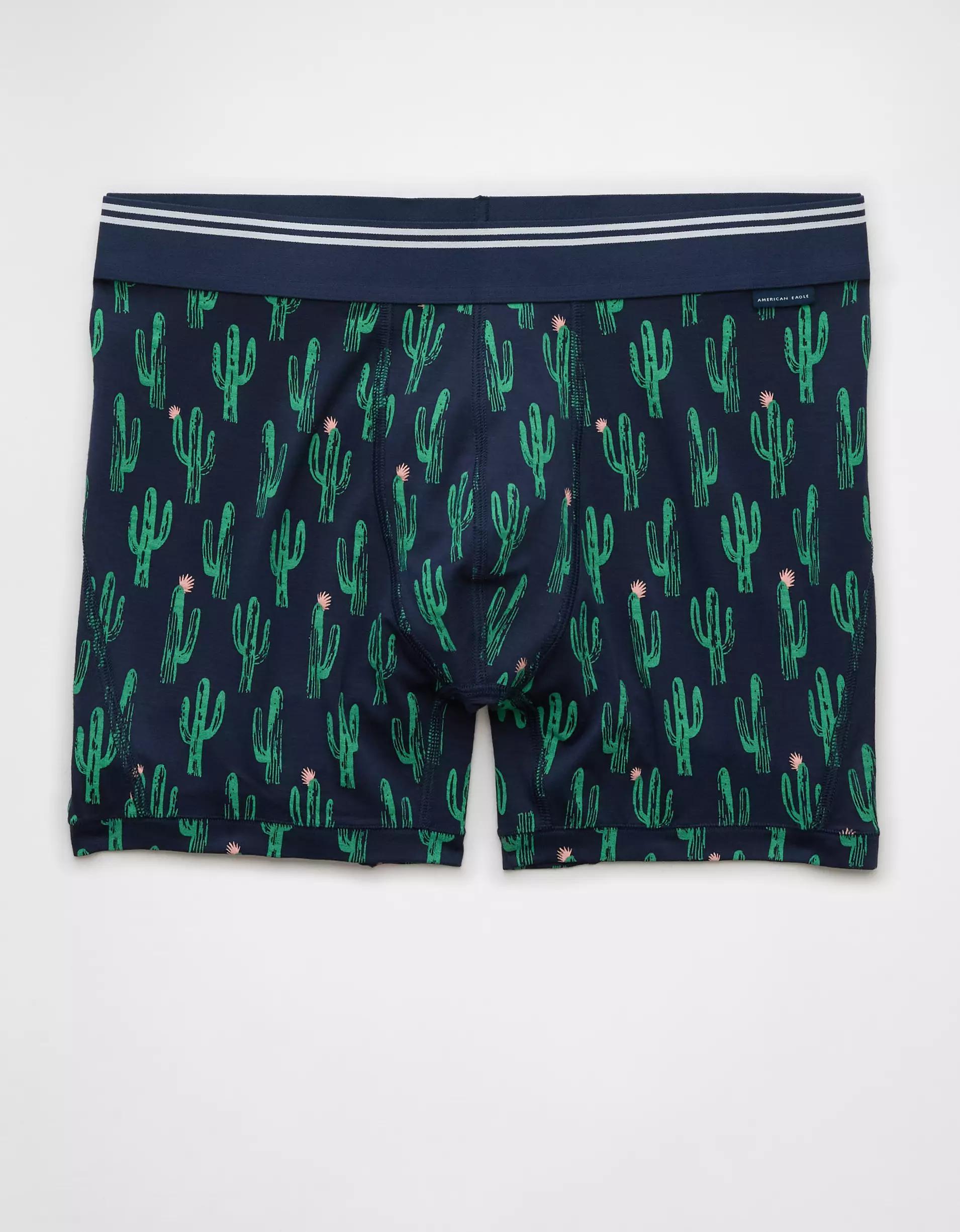 AEO Men's Cacti 4.5" Ultra Soft Boxer Brief Product Image
