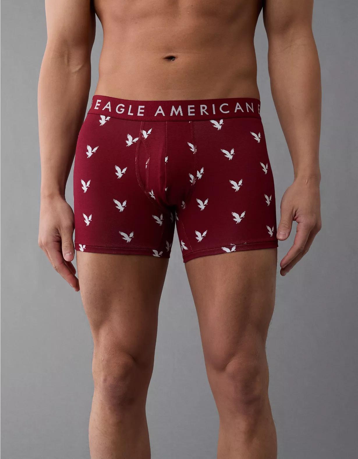 AEO Men's 4.5" Classic Boxer Brief Product Image