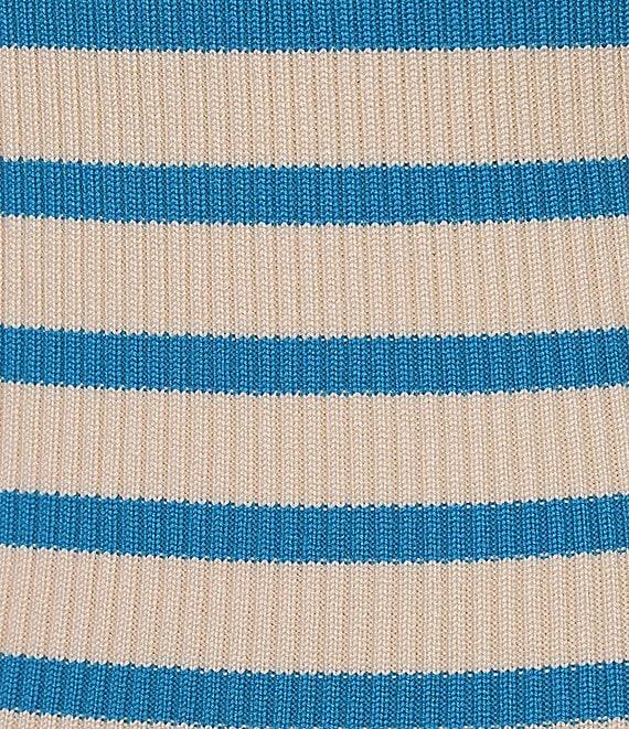 Signature 8 Crew Neck Sleeveless Stripe Knit Mini Dress Product Image