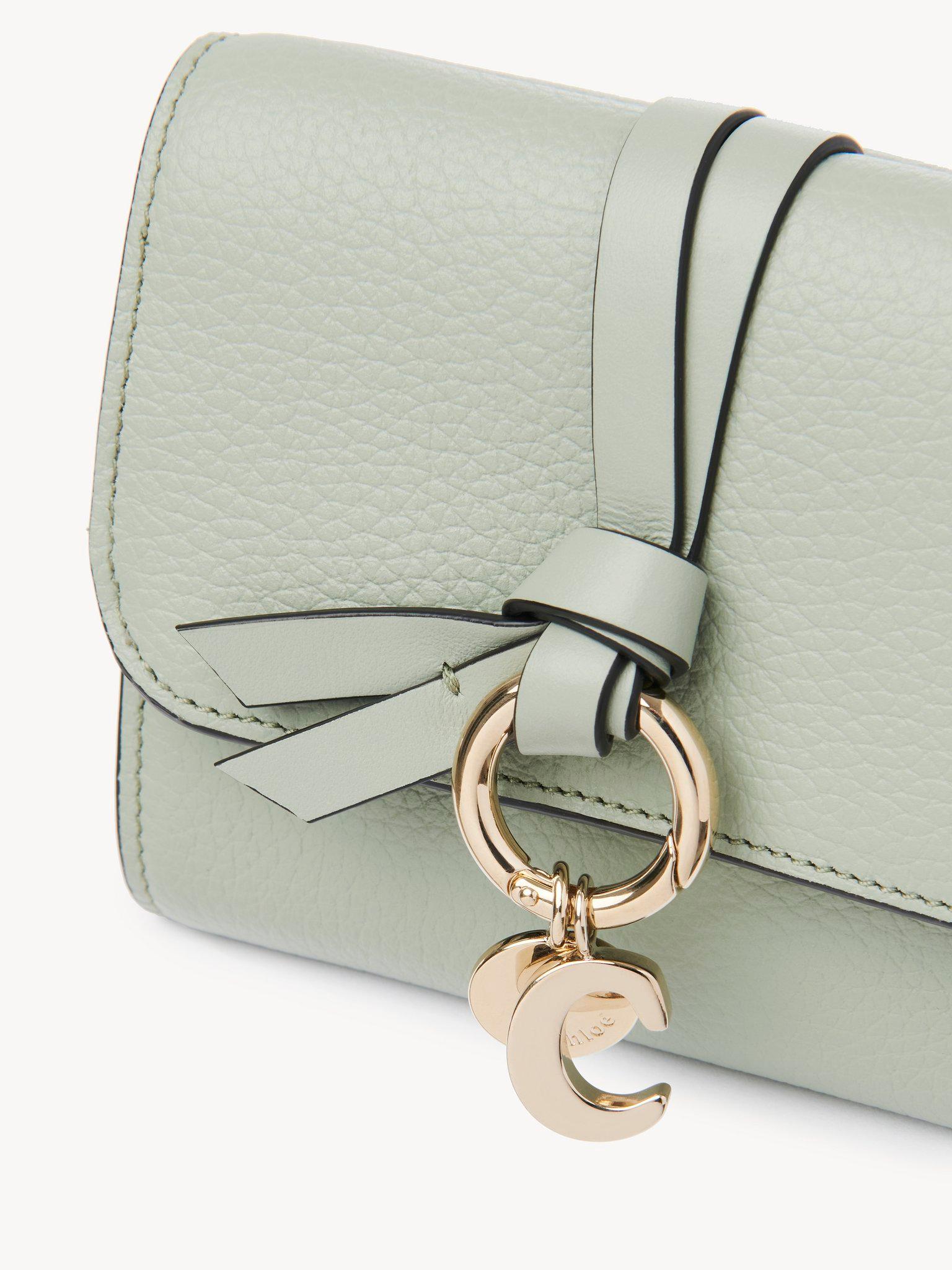 buckle-detail belt Product Image