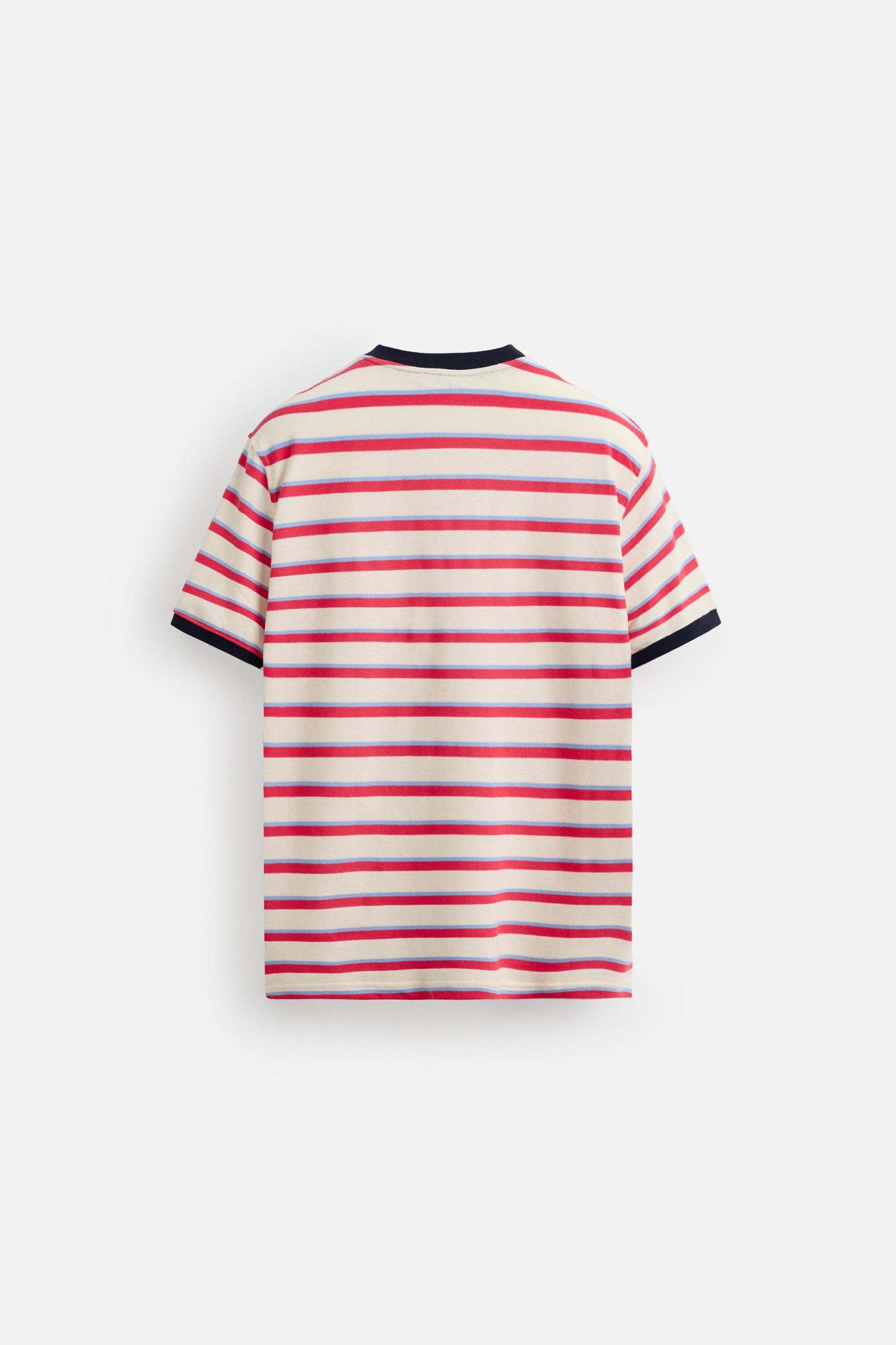 STRIPED CONTRAST T-SHIRT Product Image