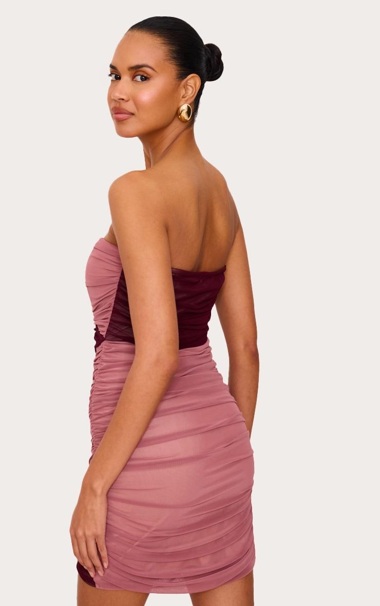 Light Pink Mesh Contrast Bandeau Mini Dress Product Image