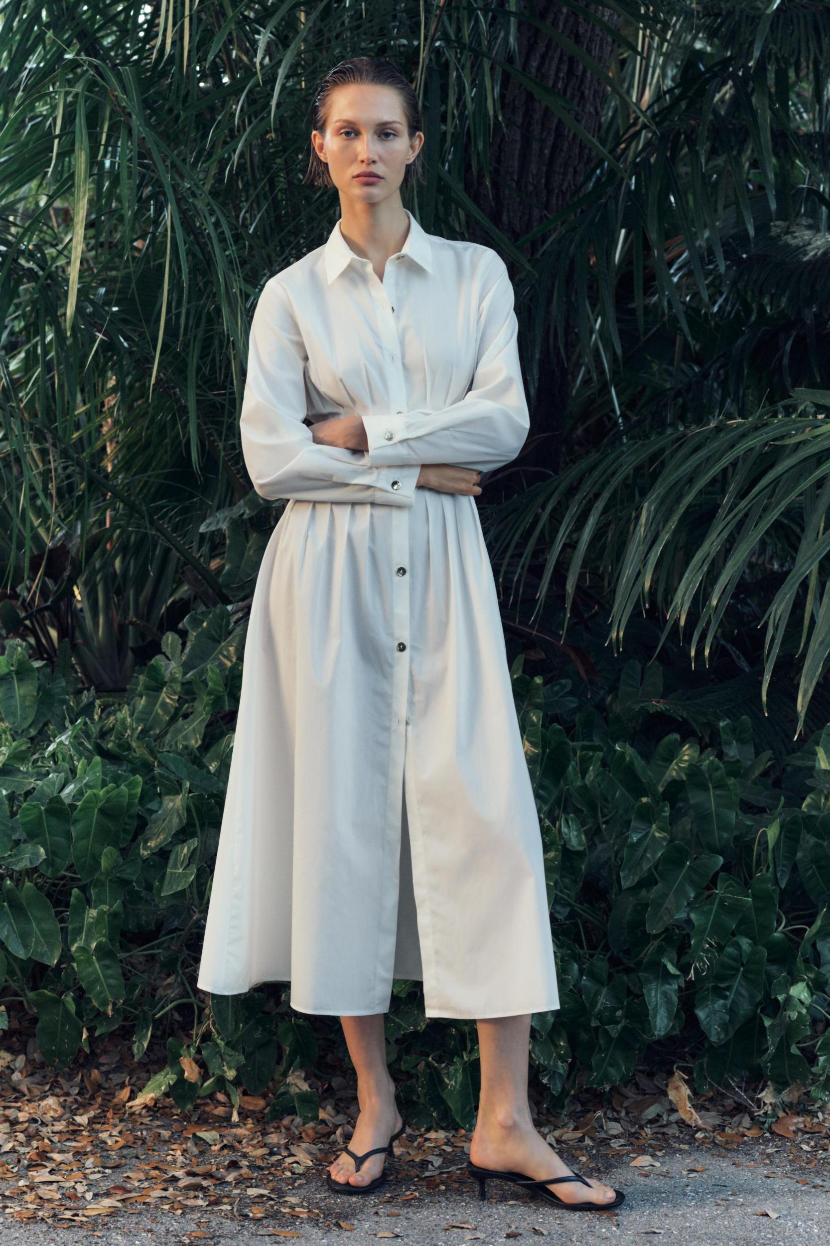 FITTED WAIST POPLIN DRESS Product Image