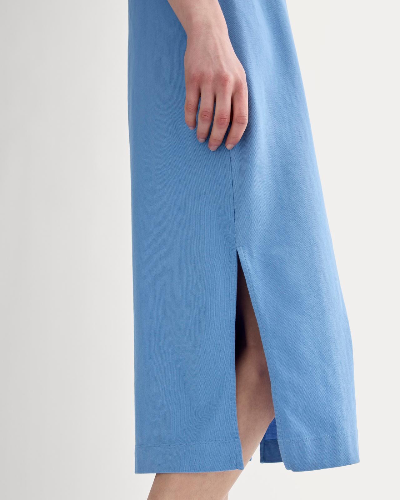 Womens Weekend Tank Dress by Everlane Product Image