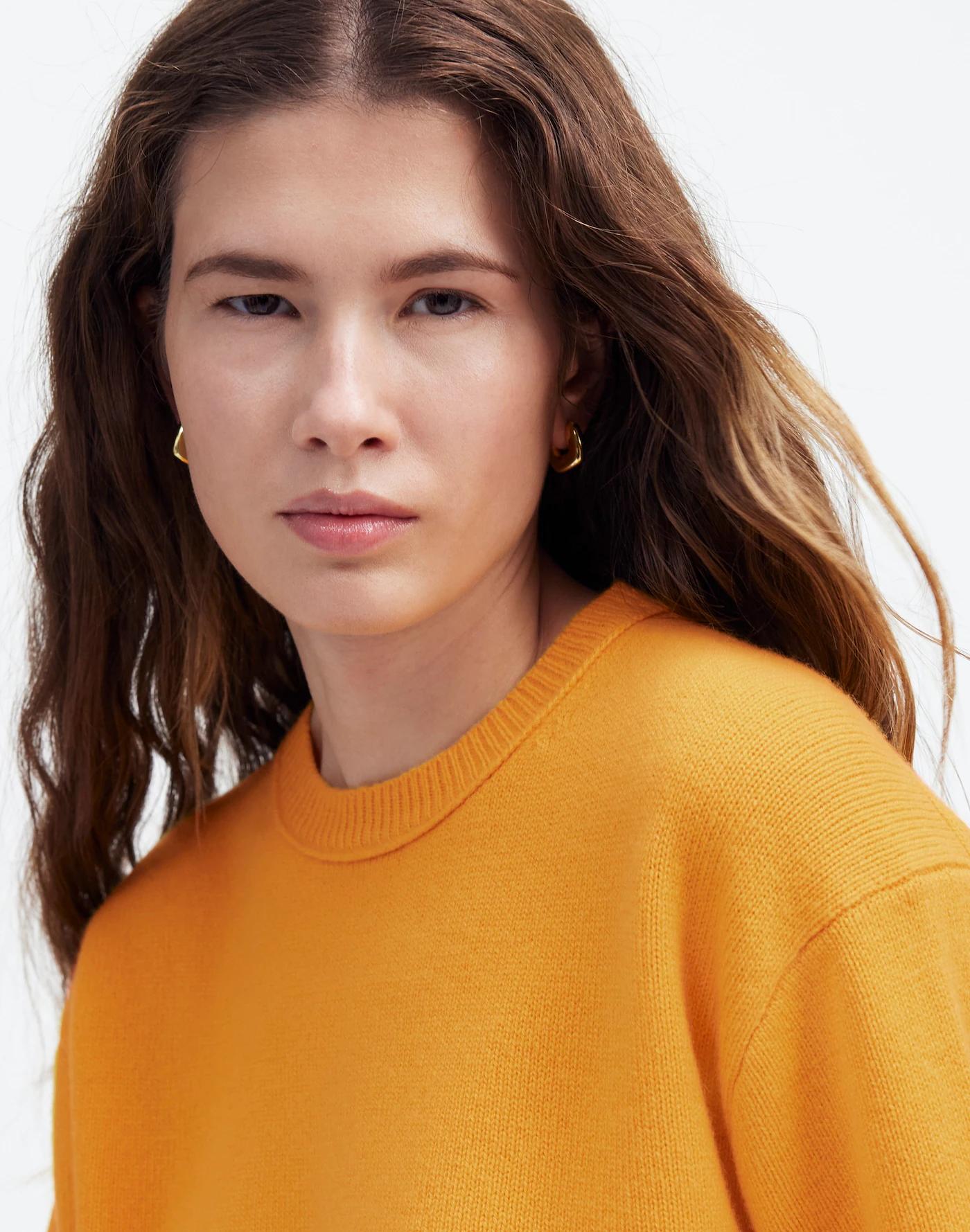 Relaxed Cashmere Sweater Tee Product Image