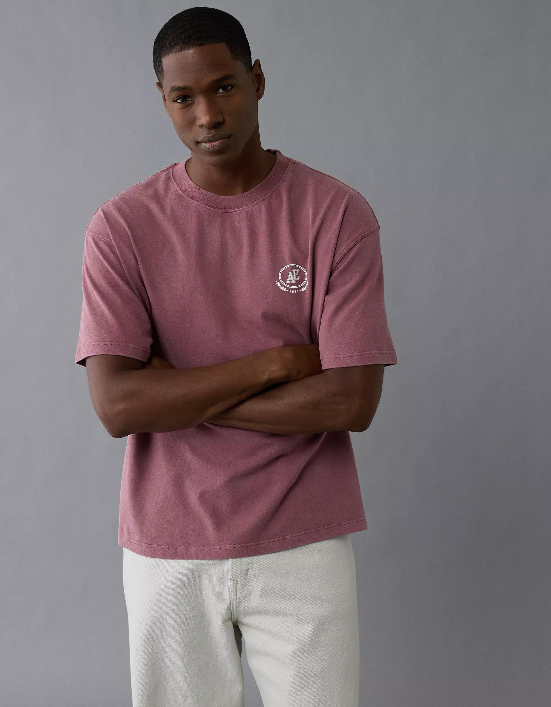 AE Boxy Logo Graphic T-Shirt Product Image