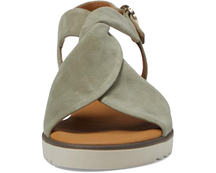 MSRP: $209(5% OFF) Product Image