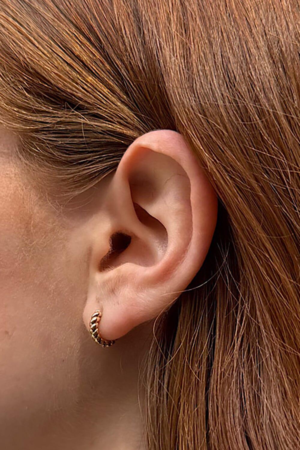 Hoop Earrings Product Image