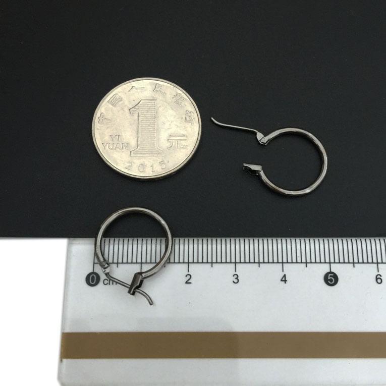 Hoop Leverback Earring Product Image