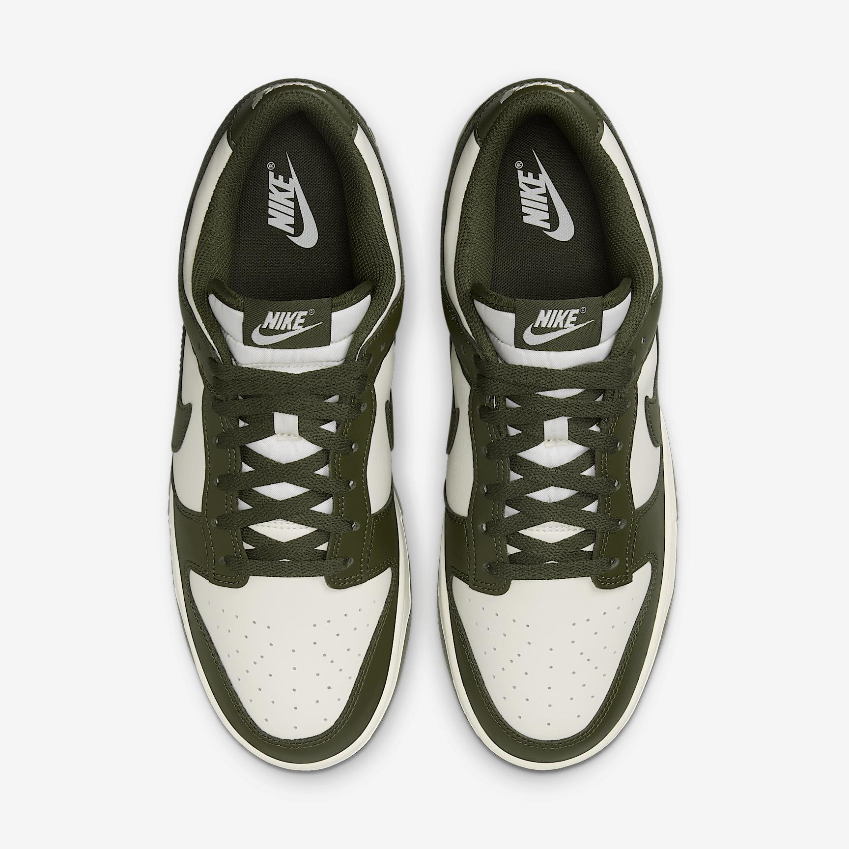 Nike Mens Dunk Low Retro Shoes | HF5441-105 Product Image