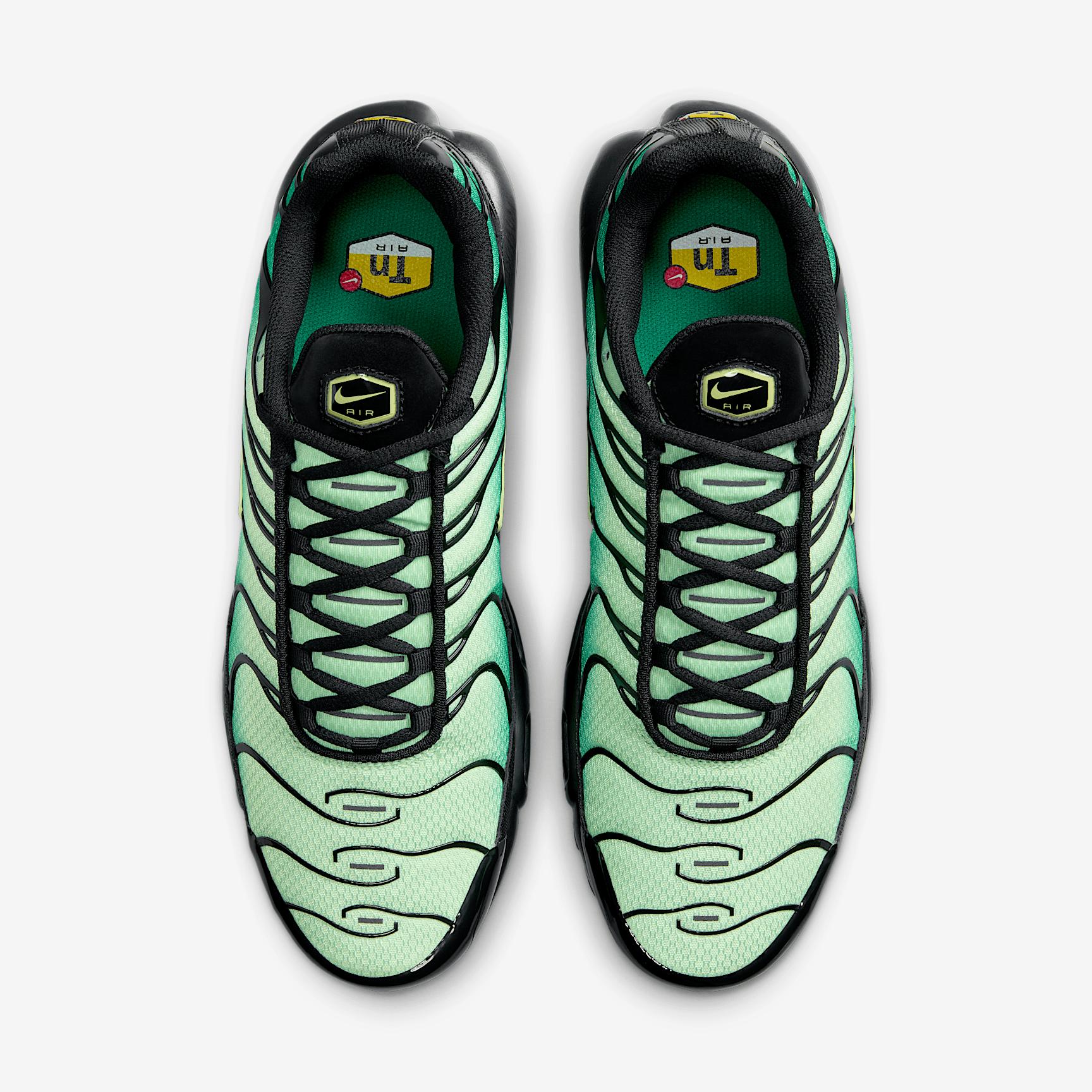 Nike Mens Air Max Plus Shoes | DM0032-301 Product Image
