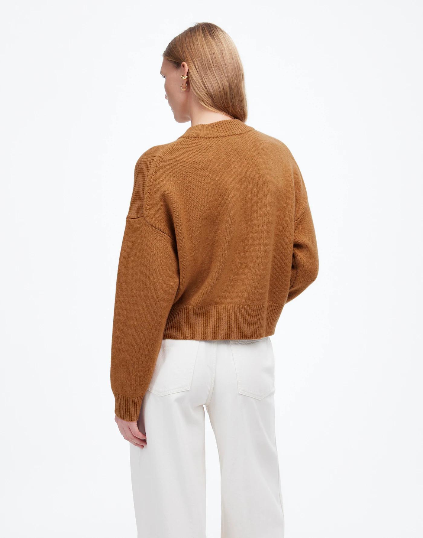 SoftWool Boxy Crewneck Sweater Product Image