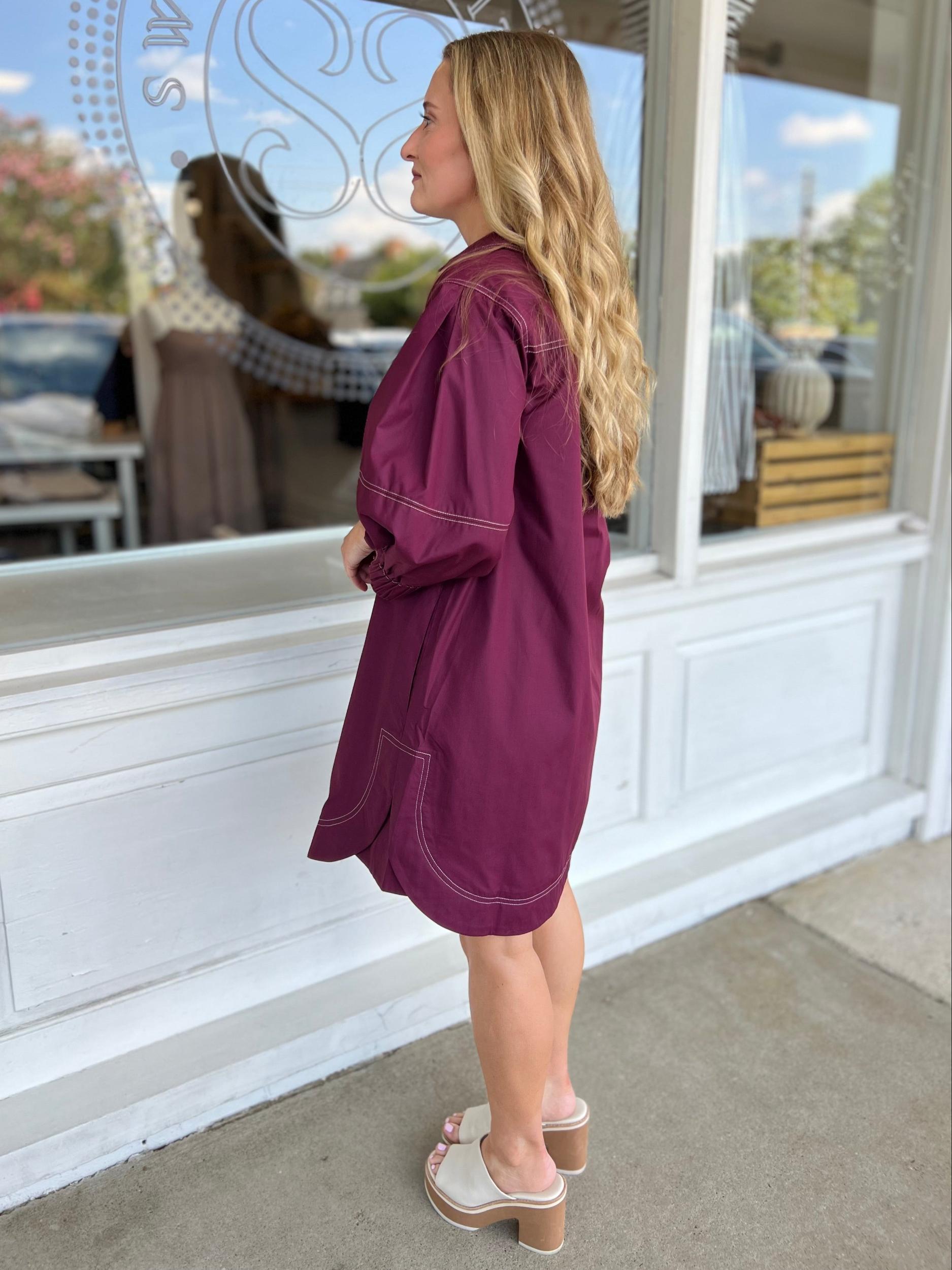 Leilani V-Neck Mini Dress Product Image