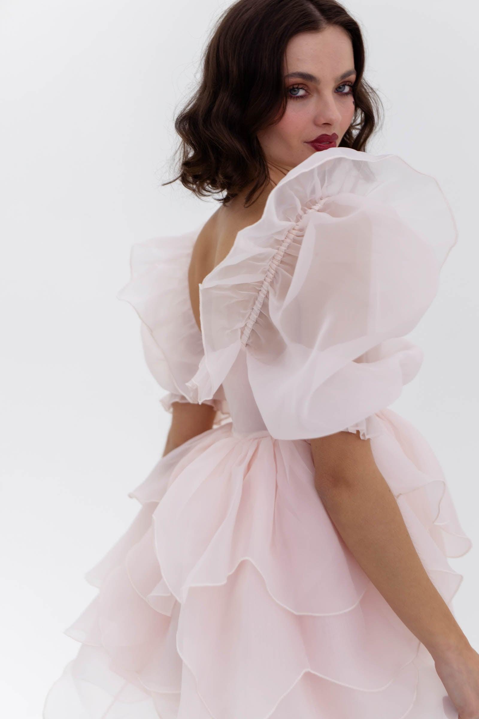 The Peach Skin Rose Petal Puff Dress Product Image