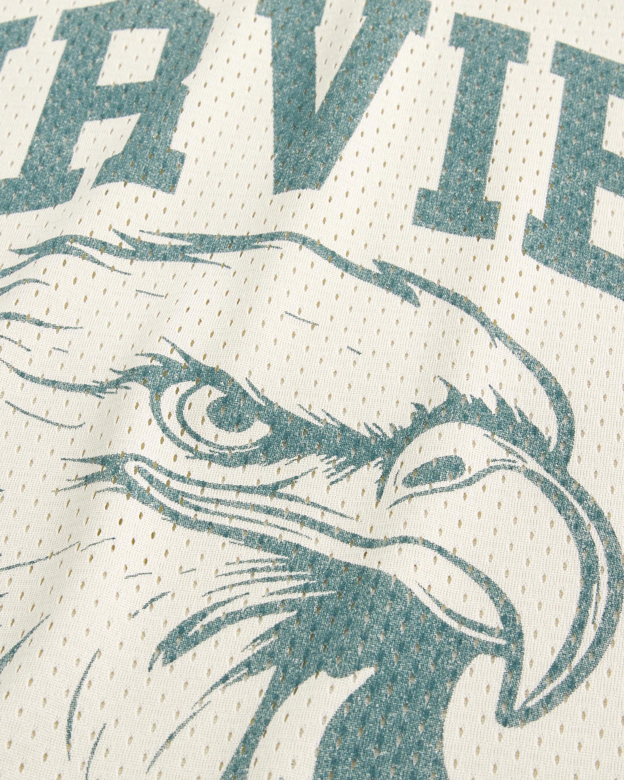 Boxy Crop Fairview Football Graphic Jersey Product Image