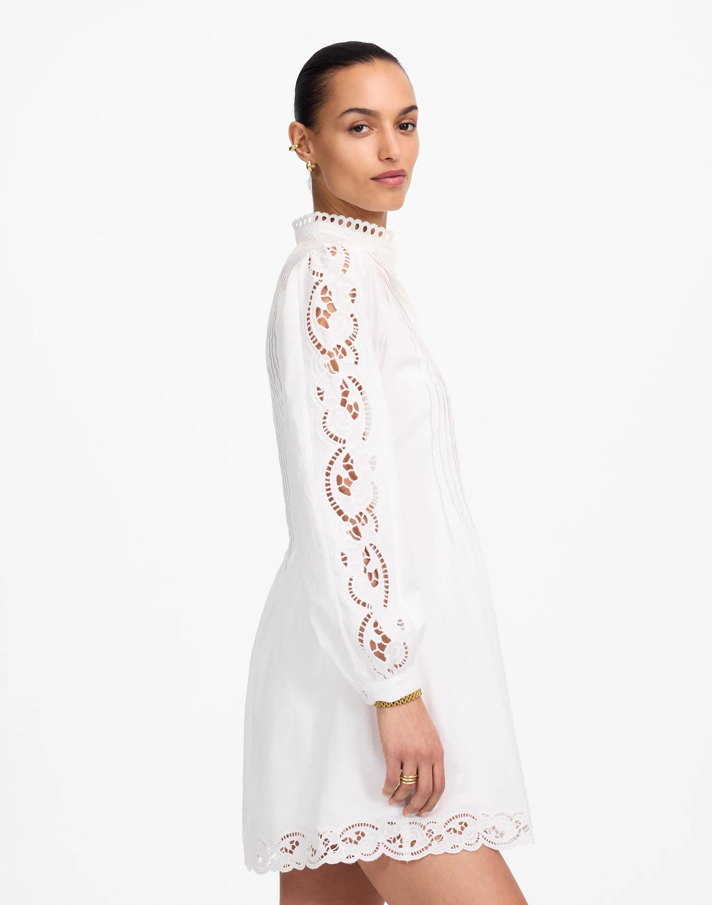 Pintucked Eyelet Mini Dress Product Image