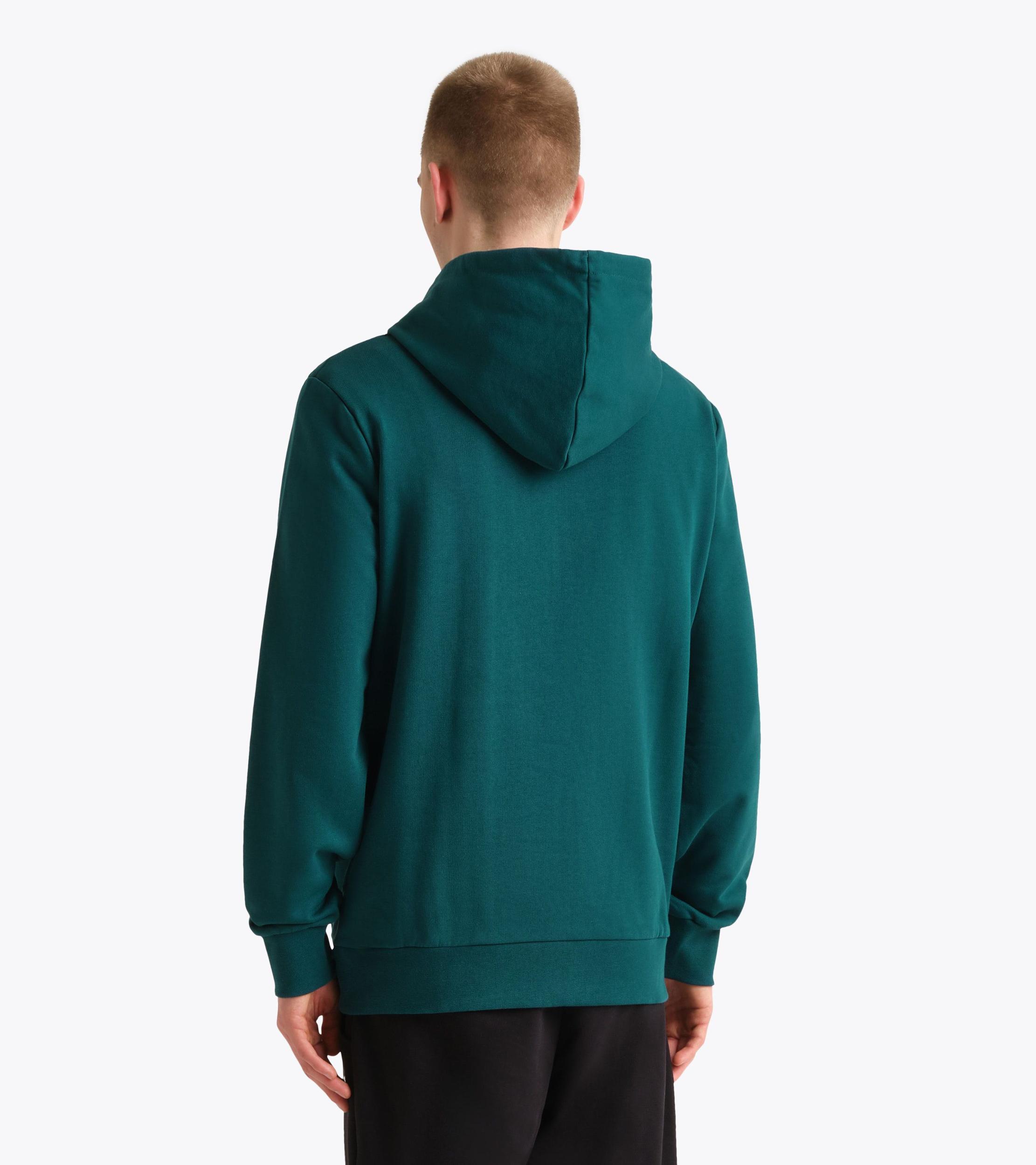 HOODIE LOGO Product Image