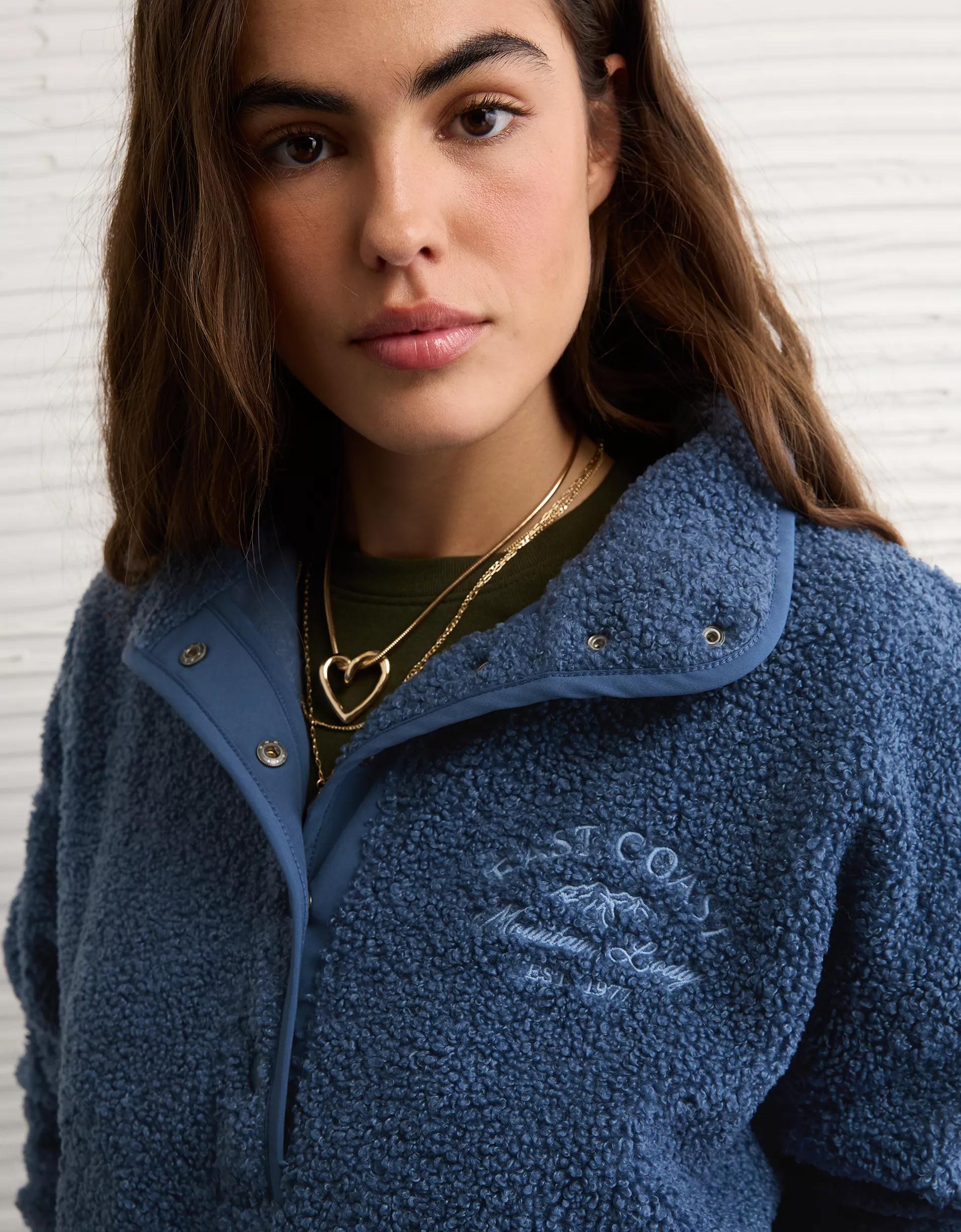 AE Sherpa Fleece Graphic Henley Sweatshirt Product Image