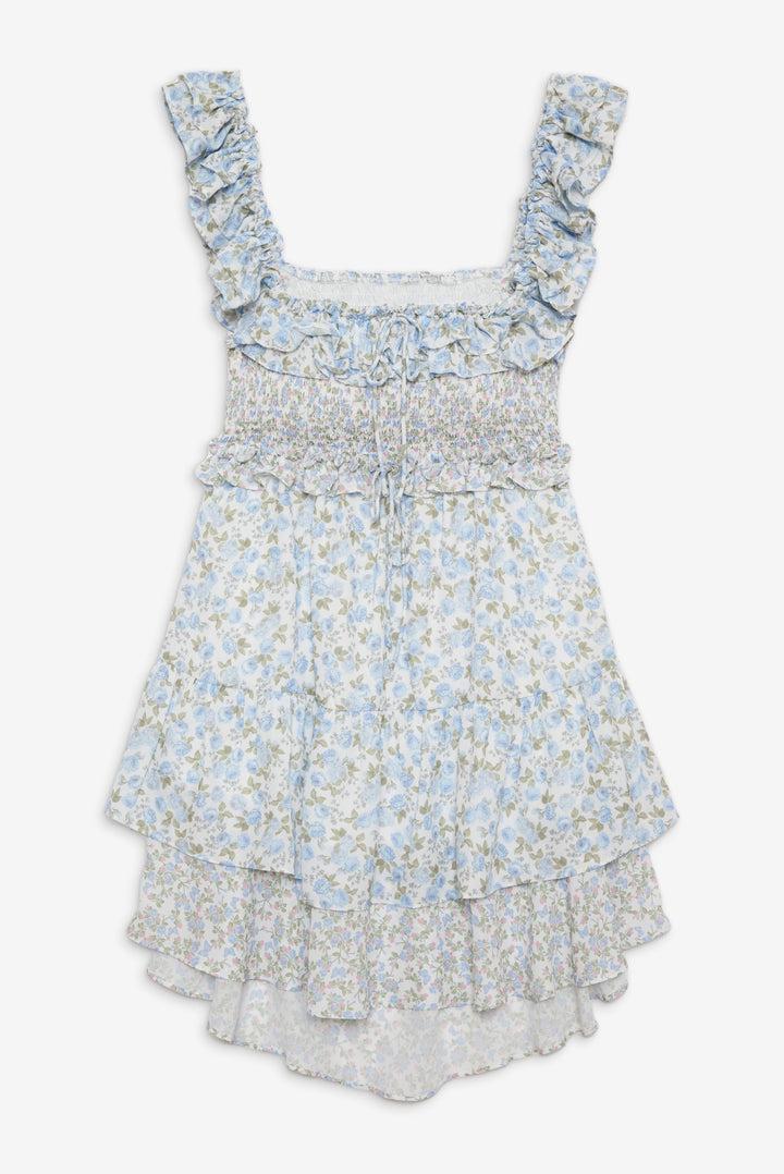 Riley Mini Dress — Blue Product Image