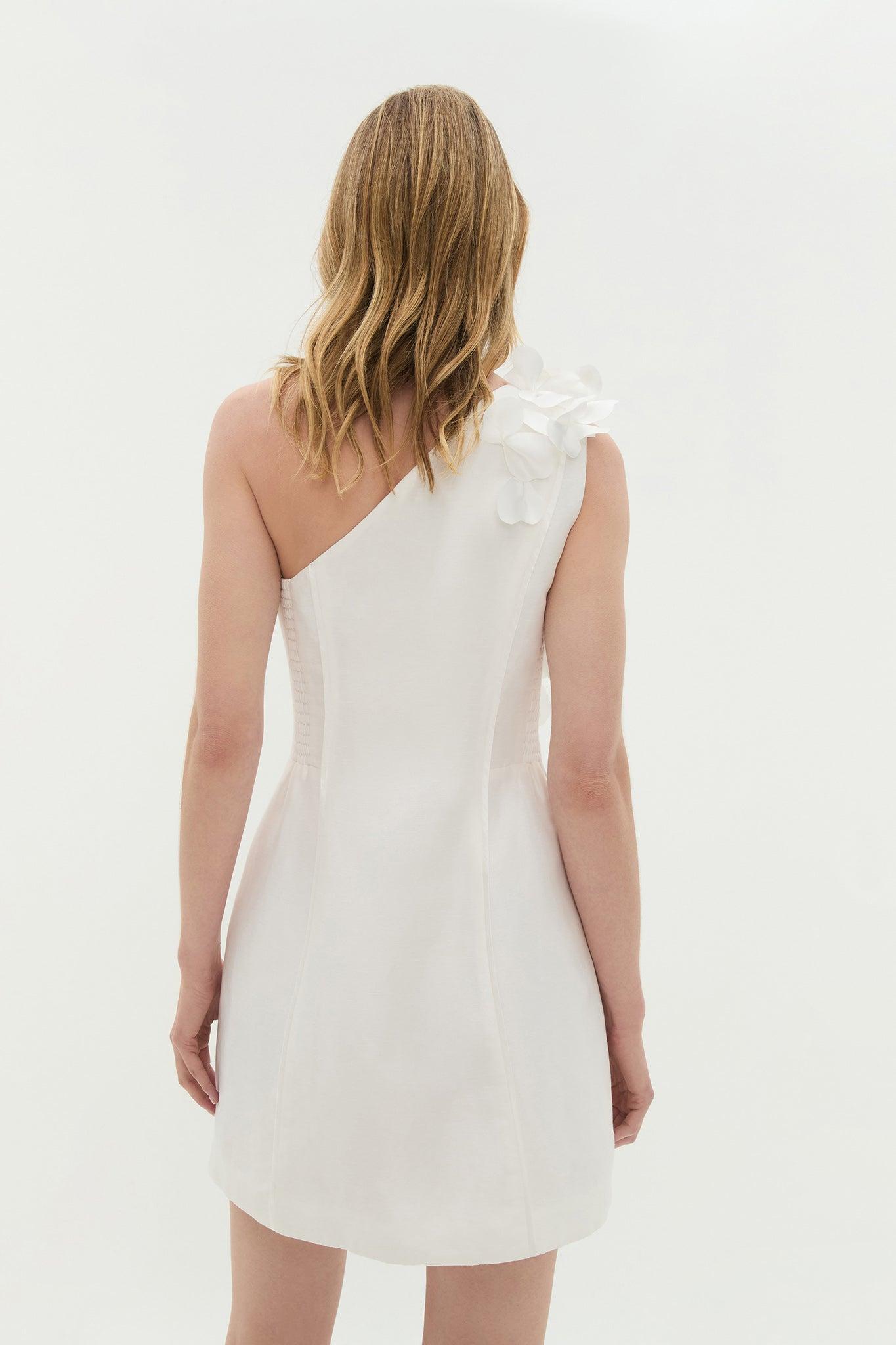 Camille Mini Dress Product Image