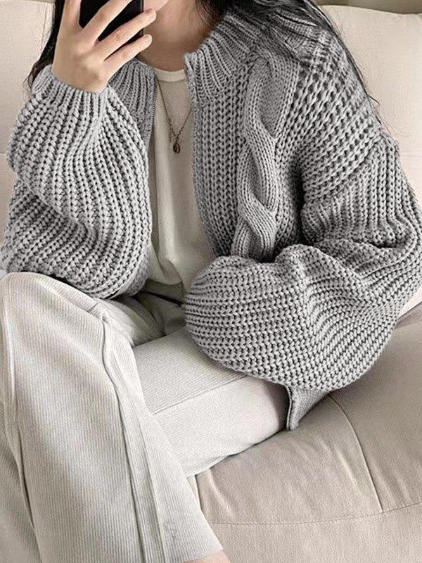 Cable Knit Zip Up Cardigan Product Image