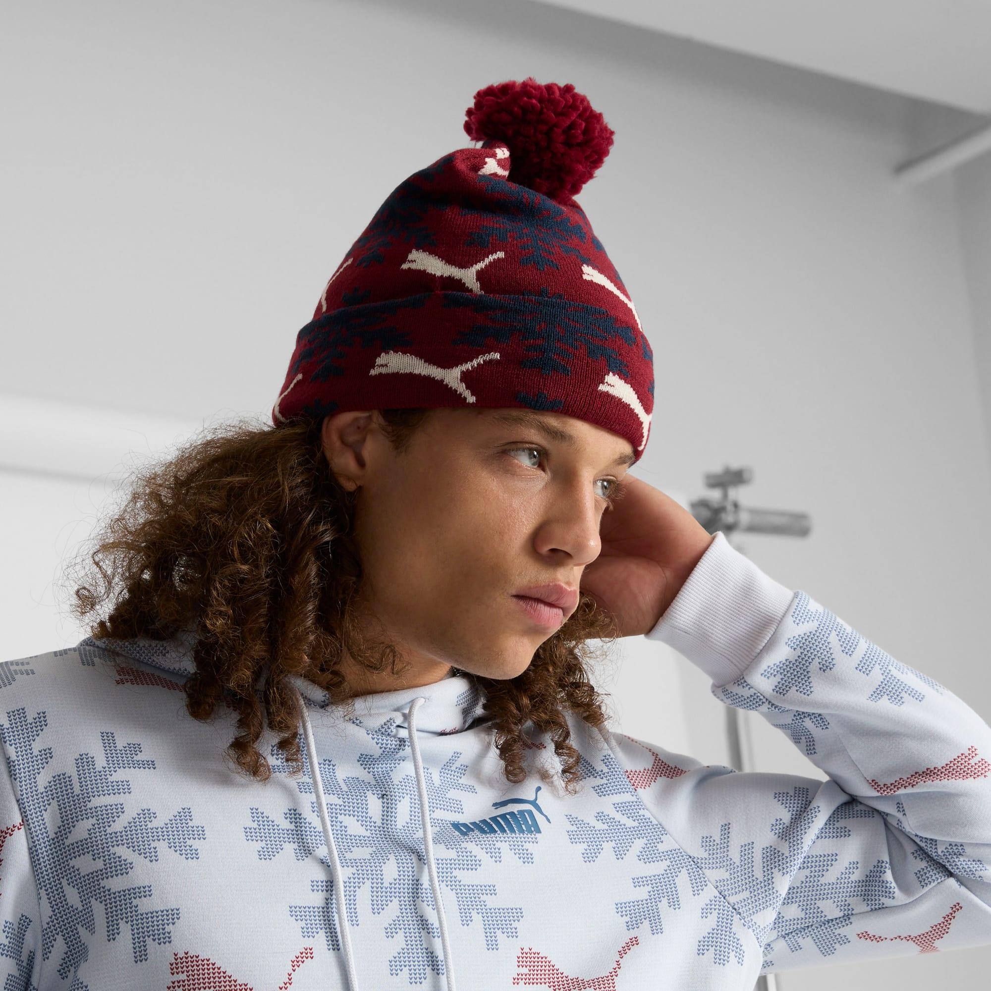 Fair Isle Winter Pom Pom Snowflake Beanie Product Image