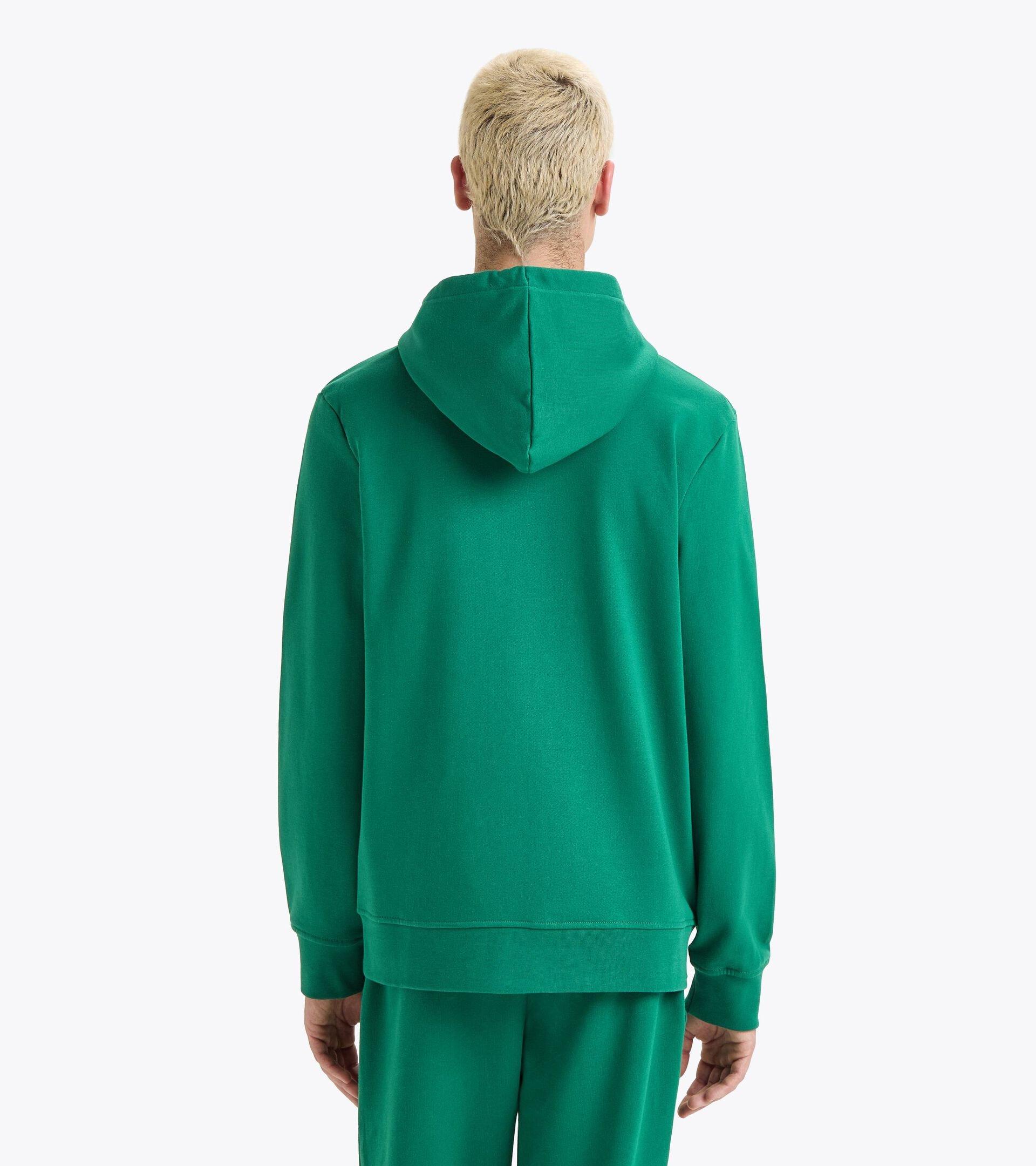 HOODIE FZ LOGO Product Image